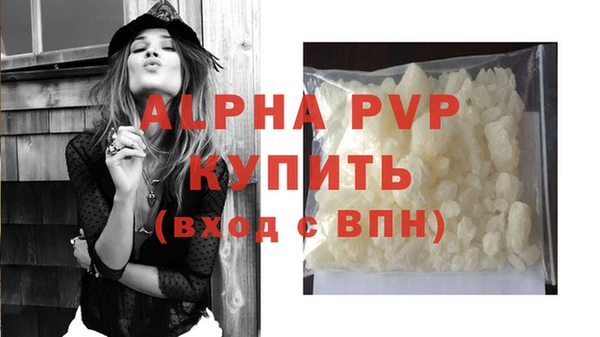 ПСИЛОЦИБИНОВЫЕ ГРИБЫ Белокуриха