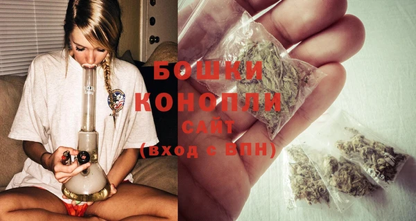 ПСИЛОЦИБИНОВЫЕ ГРИБЫ Белокуриха