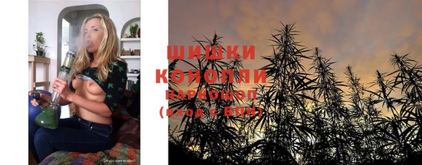 ПСИЛОЦИБИНОВЫЕ ГРИБЫ Белокуриха