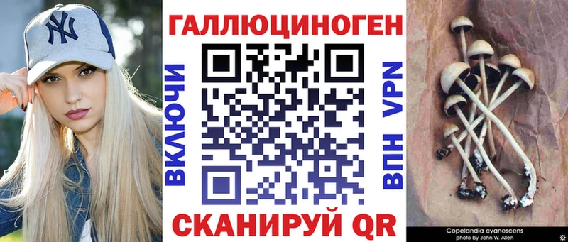 Псилоцибиновые грибы прущие грибы  дарнет шоп  Володарск 